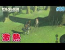 【ゼルダの伝説BotW】初めてのブレワイ！折れない心で未知の世界へ！#39【実況】