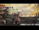 【モンスターハンターワイルズ】火力もサポートもヒーラーも全てをこなす片手剣さん