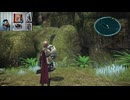 FF13-455