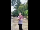 アヒルが可愛いただそれだけの動画