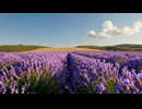 Chiyuri Nagayamaの風景動画：ちゆりと巡る世界の絶景✨✨✨