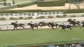 2025 ゆきやなぎ賞 (3歳1勝クラス)　ゲルチュタール
