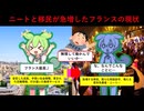 気づけば移民とニートが急増したフランスの現状【ずんだもん&ゆっくり解説】