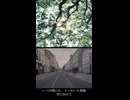 song_Indigo (vocal&guitar)_MICHIO.AKIYAMA