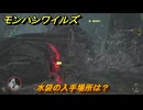 モンハンワイルズ　水袋の入手場所は？　武器・防具素材集め入手方法　＃２５２　【モンスターハンターワイルズ】