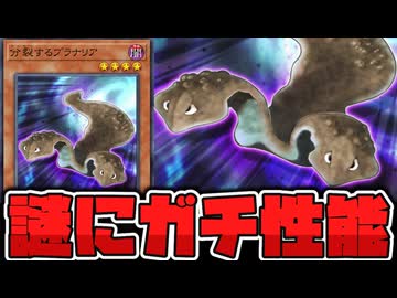 【遊戯王】 この見た目で昆虫族のガチサポート新規！？ 『分裂するプラナリア』 【ゆっくり解説】