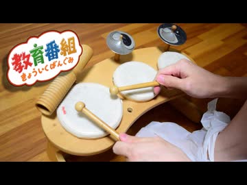 大人になれない俺が知育楽器で叩いてみた【きょういくばんぐみのテーマ】