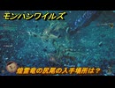 モンハンワイルズ　煌雷竜の尻尾の入手場所は？　武器・防具素材集め入手方法　＃２６２　【モンスターハンターワイルズ】