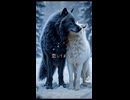 watermark-2025-02-04-000003058