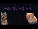チ。うろ覚え1章　【猫ミーム】