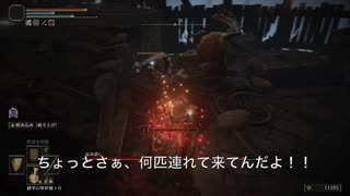 【初見】エルデンリングに挑んでみた【第40話】