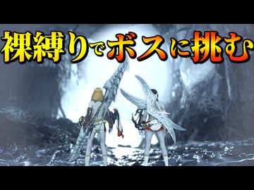 【運任せの狩猟生活#15】ヘタクソハンターは防具なしで下位のストーリーをクリアすることは可能なのか？【ゆっくり実況】【モンスターハンターワイルズ】