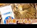 ほんと嫌いねぇ