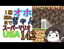 1機しぬまでオホギャンマリオUSA【クロワちゃん実況プレイ】142