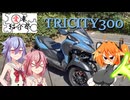 【愛車紹介祭2025】相棒トリちゃん　TORICITY300