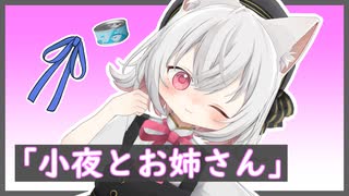 【VOICEVOX劇場】小夜と、お世話してくれるお姉さん