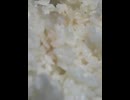 76381402633__7A44D110-C33E-4FD3-92D2-1151D3642BC8