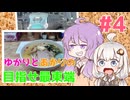 幻の駅と幻のラーメン！？青森の味噌カレー牛乳ラーメン＆青函トンネル【ゆかりとあかりの目指せ最東端＃4】