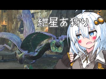 なにこのペラペラ...【MHWilds】