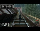 荒れ果てた世界を生き延びろ。【DAYS GONE実況part14】