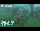 【ゼルダの伝説BotW】初めてのブレワイ！折れない心で未知の世界へ！#40【実況】