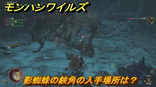 モンハンワイルズ　影蜘蛛の鋏角の入手場所は？　武器・防具素材集め入手方法　＃２６５　【モンスターハンターワイルズ】