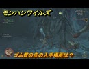 モンハンワイルズ　ゴム質の皮の入手場所は？　武器・防具素材集め入手方法　＃２６７　【モンスターハンターワイルズ】