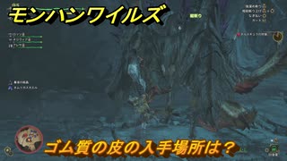 モンハンワイルズ　ゴム質の皮の入手場所は？　武器・防具素材集め入手方法　＃２６７　【モンスターハンターワイルズ】