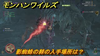 モンハンワイルズ　影蜘蛛の棘の入手場所は？　武器・防具素材集め入手方法　＃２６８　【モンスターハンターワイルズ】