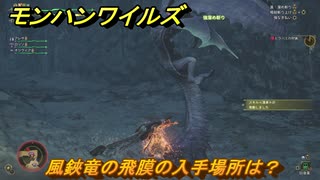 モンハンワイルズ　風鋏竜の飛膜の入手場所は？　武器・防具素材集め入手方法　＃２７０　【モンスターハンターワイルズ】