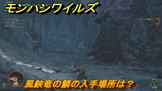 モンハンワイルズ　風鋏竜の鱗の入手場所は？　武器・防具素材集め入手方法　＃２７３　【モンスターハンターワイルズ】