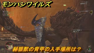 モンハンワイルズ　赫猿獣の背甲の入手場所は？　武器・防具素材集め入手方法　＃２７９　【モンスターハンターワイルズ】