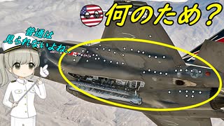 なぜ大量に点がついたF-35戦闘機がいるの？