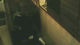 保存用