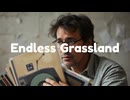 Endless Grassland