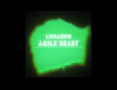 Lunarun - Agile Beast
