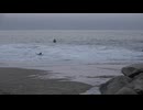 California Santa Cruz Waves And Surfers