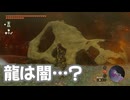 ゼルダの伝説　ティアーズ オブ ザ キングダム　実況プレイPart314