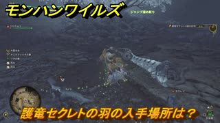 モンハンワイルズ　護竜セクレトの羽の入手場所は？　武器・防具素材集め入手方法　＃２８４　【モンスターハンターワイルズ】