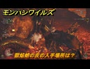 モンハンワイルズ　獄焔蛸の皮の入手場所は？　武器・防具素材集め入手方法　＃２８５　【モンスターハンターワイルズ】