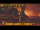 モンハンワイルズ　獄焔蛸の油膜の入手場所は？　武器・防具素材集め入手方法　＃２８７　【モンスターハンターワイルズ】