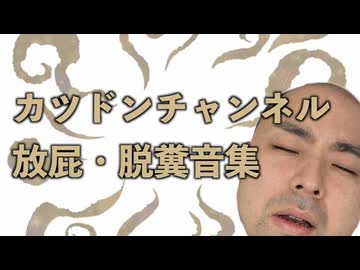 カツドンチャンネル 放屁・脱糞音集