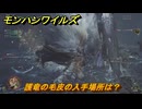 モンハンワイルズ　護竜の毛皮の入手場所は？　武器・防具素材集め入手方法　＃２９１　【モンスターハンターワイルズ】