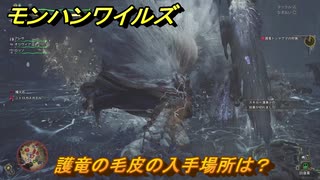 モンハンワイルズ　護竜の毛皮の入手場所は？　武器・防具素材集め入手方法　＃２９１　【モンスターハンターワイルズ】