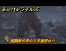 モンハンワイルズ　護闢獣の牙の入手場所は？　武器・防具素材集め入手方法　＃２９６　【モンスターハンターワイルズ】