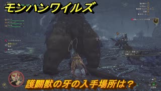 モンハンワイルズ　護闢獣の牙の入手場所は？　武器・防具素材集め入手方法　＃２９６　【モンスターハンターワイルズ】