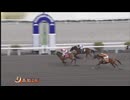 2025年3月16日高知競馬2R Ｗｅｅｄ株式会社協賛 Ｗｅｅｄイベント特別(A-2組) ナムラスワガー