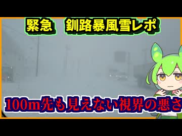【緊急撮影・釧路暴風雪レポ】またしても釧路に大雪！100メートル先も見えないホワイトアウト【釧路のずんだもん】