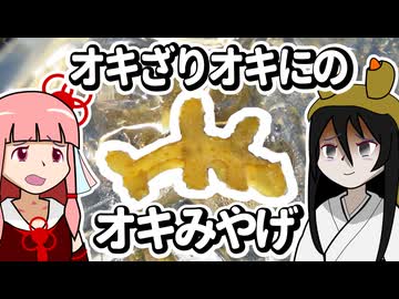 【ウミウシ解説】オキざり オキにの オキみやげ【琴葉姉妹の磯遊び】
