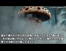 【フワーデ図鑑】マイコラトゥス